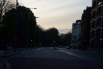 DSC_7166 (Large).JPG